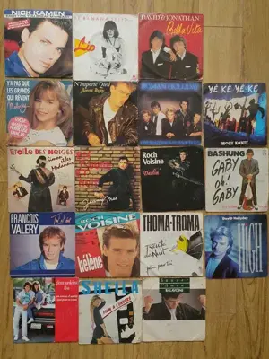 Discuri vinyl maxi single 7 inci