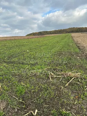 Teren intravilan 1,2 ha pentru activitati industriale,pret 800 euro ar