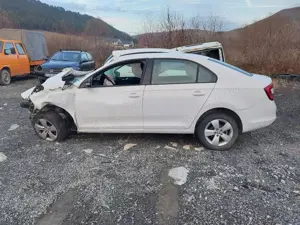 Usa stg spate Skoda Rapid 2018 ,reper 5JA833055B
