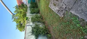 Casa caramida(Nemteasca) - imagine 8