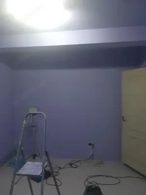 Execut zugravit  - imagine 3