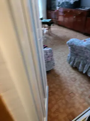 Predeal, apartament 2 camere dec et 1 - imagine 8