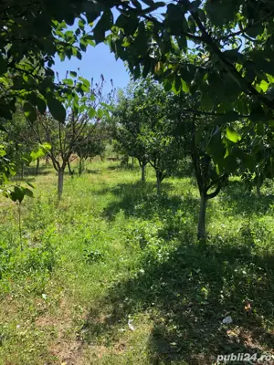 casa de vanzare   Peretu - imagine 5