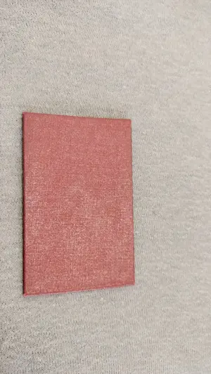 Carnet de membru Amicii clubului Dinamo  - imagine 3