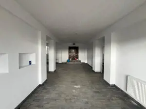 Lugoj, Pensiune 16 Cam., 850 Mp, Renovata Str. Principala - imagine 5