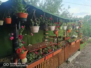 Vând spațiu comercial în buziaș  - imagine 10