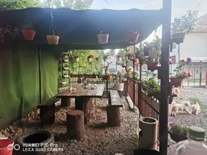 Vând spațiu comercial în buziaș  - imagine 8