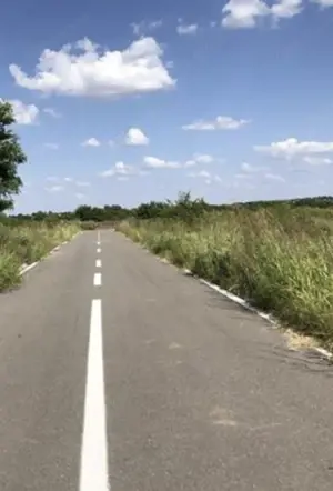 Terenuri Industriale 2000-5000mp Magurele-Buda