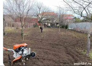 servicii gradinărit  defrișari terenuri