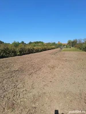 servicii gradinarit - imagine 3