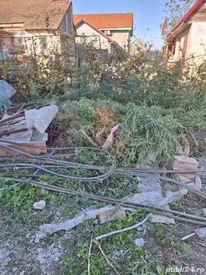 servicii gradinarit - imagine 5