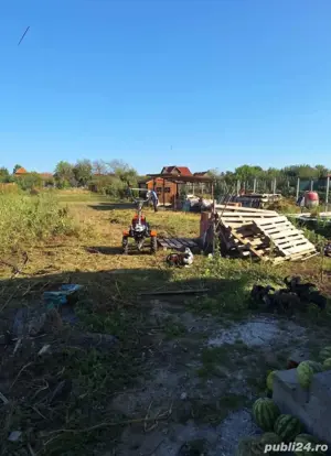 servicii gradinarit - imagine 2