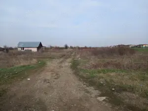 Tartasesti , Proprietar