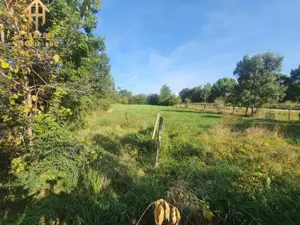 De Vânzare Casa Mare cu Teren Generos în Buziaș - imagine 5