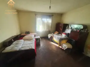 De Vânzare Casa Mare cu Teren Generos în Buziaș - imagine 6