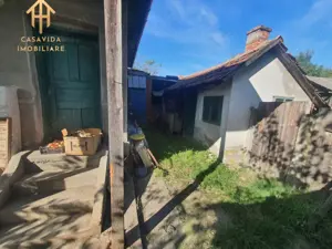 De Vânzare Casa Mare cu Teren Generos în Buziaș - imagine 4