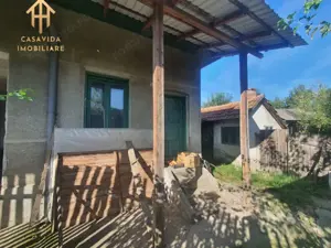 De Vânzare Casa Mare cu Teren Generos în Buziaș - imagine 3