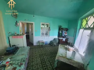 De Vânzare Casa Mare cu Teren Generos în Buziaș - imagine 8