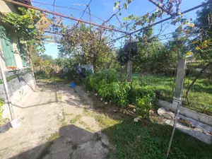 De Vânzare Casa Mare cu Teren Generos în Buziaș - imagine 15