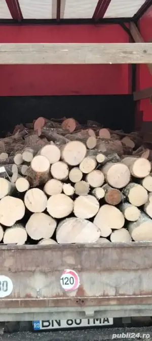 vând lemne de foc!