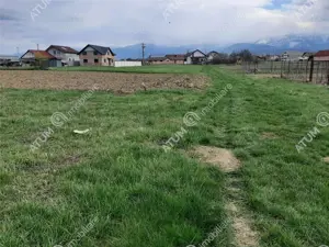 eren intravilan 1400 mp de vanzare pe Valea Avrigului - imagine 3