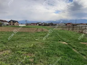 eren intravilan 1400 mp de vanzare pe Valea Avrigului - imagine 2