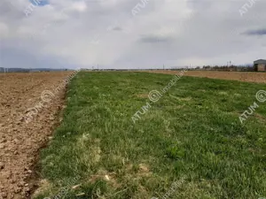 eren intravilan 1400 mp de vanzare pe Valea Avrigului - imagine 4