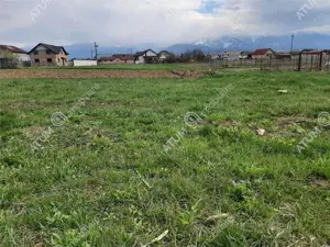 eren intravilan 1400 mp de vanzare pe Valea Avrigului - imagine 5
