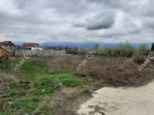 Teren intravilan 1300 mp de vanzare pe Valea Avrigului, drum asfaltat