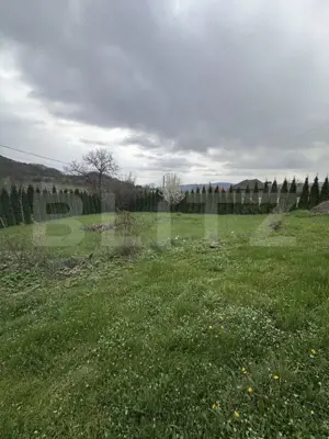 Casă de vânzare,  zonă deosebită , teren generos,Sălișca - imagine 4