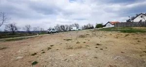 Teren 26500mp investitie dezvoltator imobiliar km 7 Calea Caransebesului 11 euro  negociabil - imagine 3