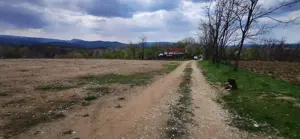 Teren 26500mp investitie dezvoltator imobiliar km 7 Calea Caransebesului 11 euro  negociabil - imagine 7