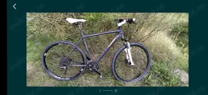 Bicicletă adulți roți 29