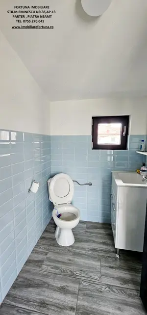 Proprietate moderna,multifunctionala,in zona cu trafic auto si pietonal,Piatra Neamt - imagine 11