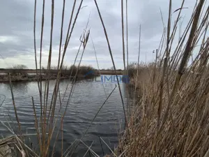 Izvorani - teren cu deschidere la lac - imagine 8