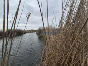 Teren 2500 mp – Izvorani | Deschidere directă la lac