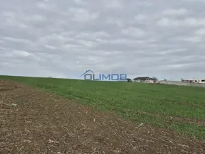 Izvorani - teren cu deschidere la lac - imagine 5