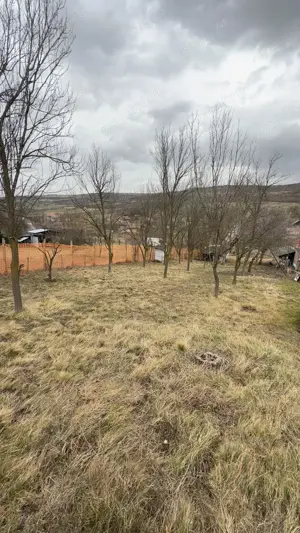 Vand 1064 mp teren intravilan Barlea judetul Cluj - imagine 3