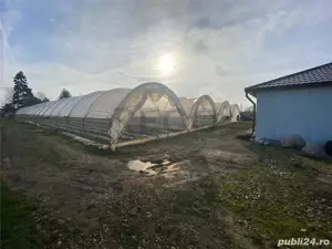 Vând teren intravilan cu solari si casa de contructie usoara. - imagine 3