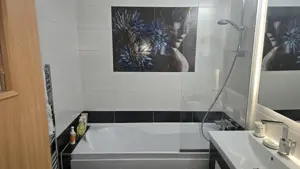 Vand apartament 2 camere decomandat in Deva, zona 22 Decembrie,  55 mp, mobilat, utilat 2 balcoane - imagine 13