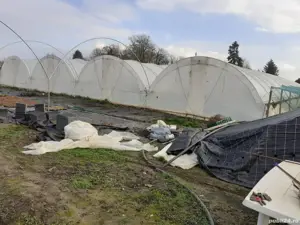 Vând teren intravilan cu solari si casa de contructie usoara. - imagine 10