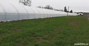 Vând teren intravilan cu solari si casa de contructie usoara. - imagine 6