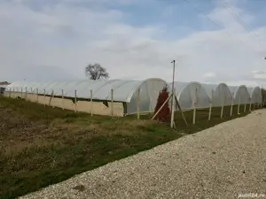 Vând teren intravilan cu solari si casa de contructie usoara. - imagine 9