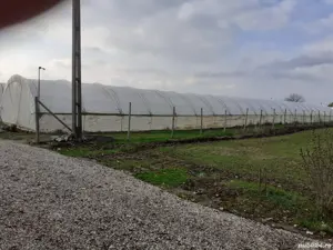 Vând teren intravilan cu solari si casa de contructie usoara. - imagine 8