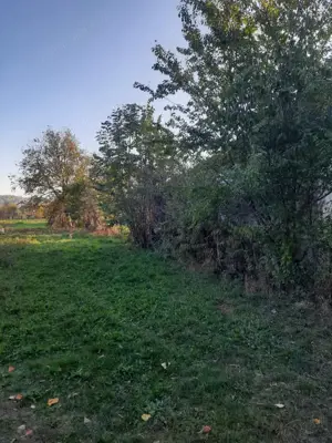 Teren Intravilan, 1500 m2, plat, zona rezidentiala, Campina, Prahova