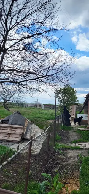 Teren de vinzare,Beregsaul Mic - imagine 5