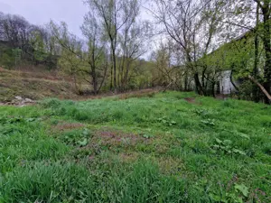 Resita Teren drept in Govandari cu PUZ 2080 Mp.pentru casa, hala, etc - imagine 2