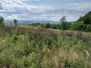 Vand teren arabil 8700 m.p. - imagine 2