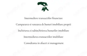 A9   Apartament Mioriței, 874 mp confort 1 sporit ,spațios , 2 holuri ,2 balcoane,,2 bai  - imagine 12