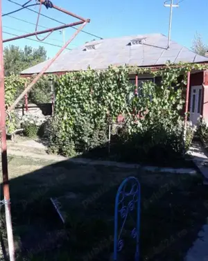 A   13. 20000 mp teren și 3 constructii casa in judetul Bacău  - imagine 6